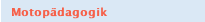 Motopädagogik